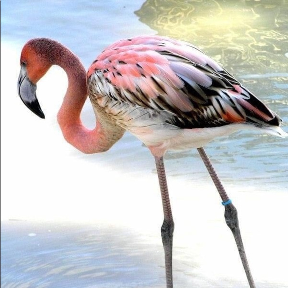 Meet your Posher, Valerie